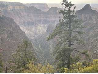 274 a18. Grand Canyon North Rim - Widforss Trail - vista view