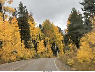 298 a18. drive to Kanab - yellow aspen trees