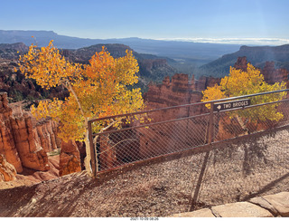 39 a18. Bryce Canyon Amphitheater with orange-yellow aspens