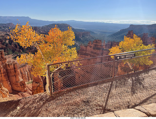 drive to Bryce Canyon - fog