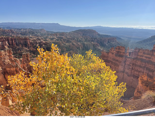 Bryce Canyon Amphitheater with orange-yellow aspens