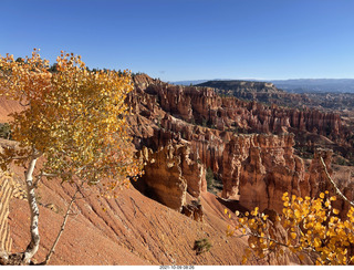 Bryce Canyon Amphitheater with orange-yellow aspens