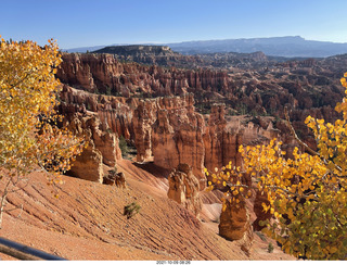 Bryce Canyon Amphitheater with orange-yellow aspens