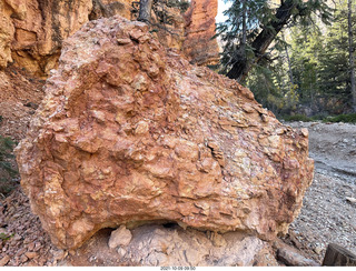 77 a18. Bryce Canyon - Peekaboo hike - rock closeup