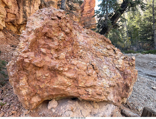 Bryce Canyon - Peekaboo hike - rock closeup