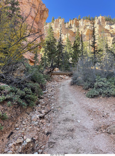 83 a18. Bryce Canyon - Peekaboo hike