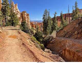 84 a18. Bryce Canyon - Peekaboo hike