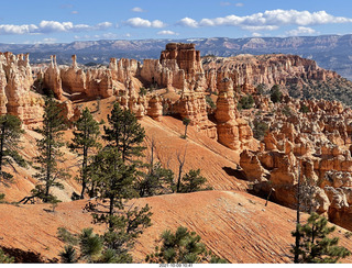 110 a18. Bryce Canyon - Peekaboo hike