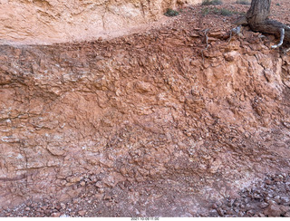 126 a18. Bryce Canyon - Peekaboo hike - rock texture