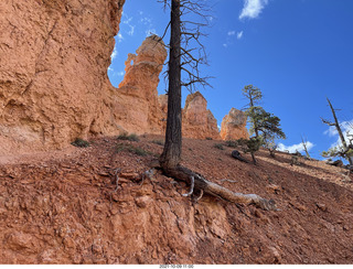 Bryce Canyon - Peekaboo hike