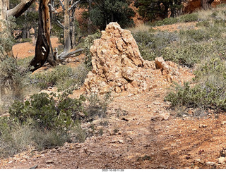 139 a18. Bryce Canyon - Peekaboo hike