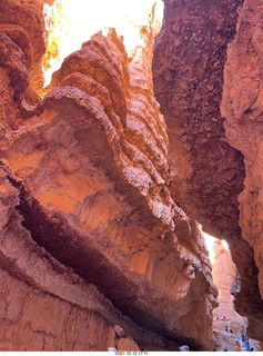 166 a18. Bryce Canyon - Wall Street hike