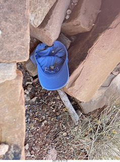 Bryce Canyon - Wall Street hike - very patient tree