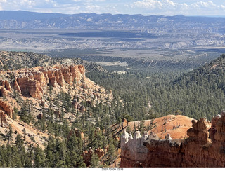 Bryce Canyon - Wall Street hike - rock textures