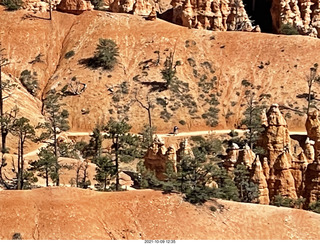 Bryce Canyon trails