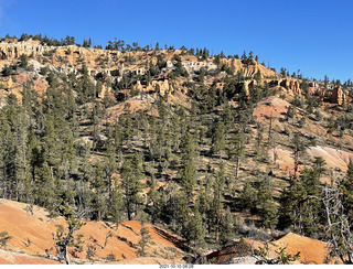 80 a18. Bryce Canyon Fairyland Trail hike