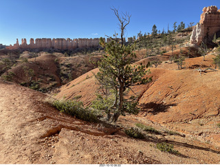 94 a18. Bryce Canyon Fairyland Trail hike