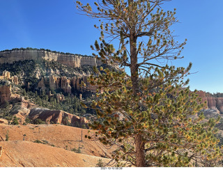 107 a18. Bryce Canyon Fairyland Trail hike - Boat Mesa