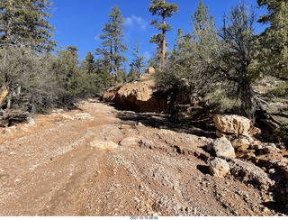 121 a18. Bryce Canyon Fairyland Trail hike