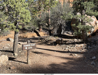 123 a18. Bryce Canyon Fairyland Trail hike - signs near Tower Bridge
