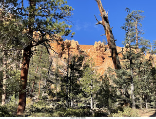 128 a18. Bryce Canyon Fairyland Trail hike