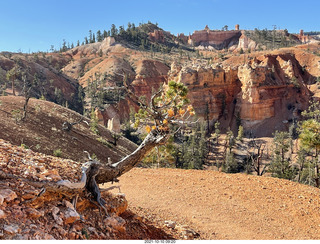 Bryce Canyon Fairyland Trail hike - signs near Tower Bridge