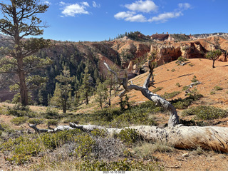 136 a18. Bryce Canyon Fairyland Trail hike