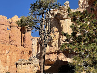 139 a18. Bryce Canyon Fairyland Trail hike