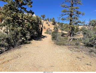 178 a18. Bryce Canyon Fairyland Trail hike