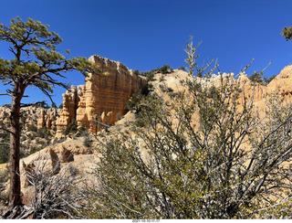 Bryce Canyon Fairyland Trail hike