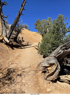 191 a18. Bryce Canyon Fairyland Trail hike