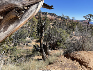 192 a18. Bryce Canyon Fairyland Trail hike