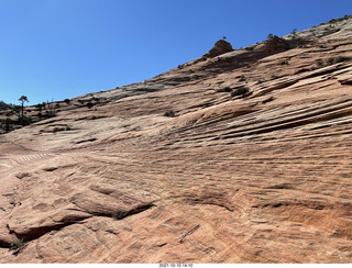 Zion National Park - Adam