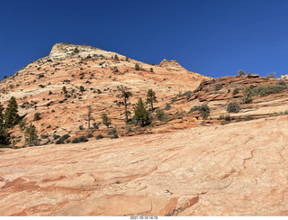 339 a18. Zion National Park