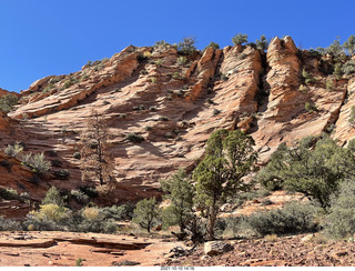 Zion National Park - Adam