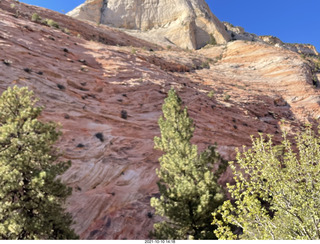 346 a18. Zion National Park