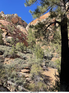 353 a18. Zion National Park