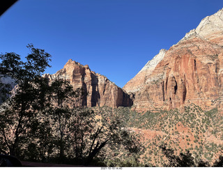 Zion National Park - flowers