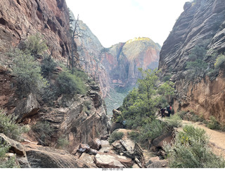 Zion National Park - Scout Landing hike