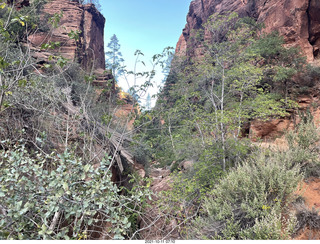 Zion National Park from shuttle