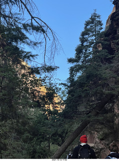 Zion National Park - Scout Landing hike