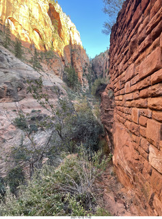 Zion National Park - Scout Landing hike