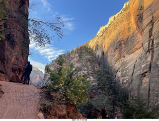 Zion National Park - Scout Landing hike