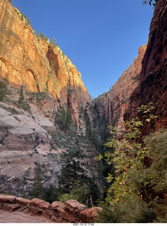 Zion National Park - Scout Landing hike