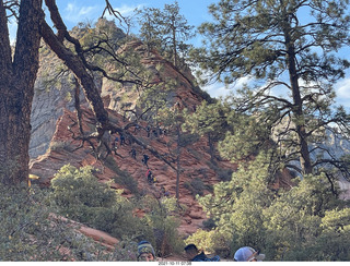 22 a18. Zion National Park - Scout Landing hike