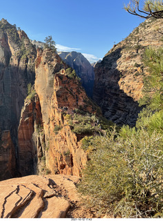 Zion National Park - Scout Landing - Angels Landing