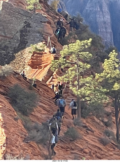 41 a18. Zion National Park - Scout Landing - Angels Landing hikers