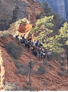 Zion National Park - Scout Landing - Adam