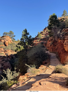 46 a18. Zion National Park - Scout Landing