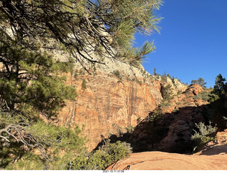 47 a18. Zion National Park - Scout Landing